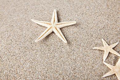 《WWE 2K25》封面艺术正式公开 罗曼·雷恩斯霸气！